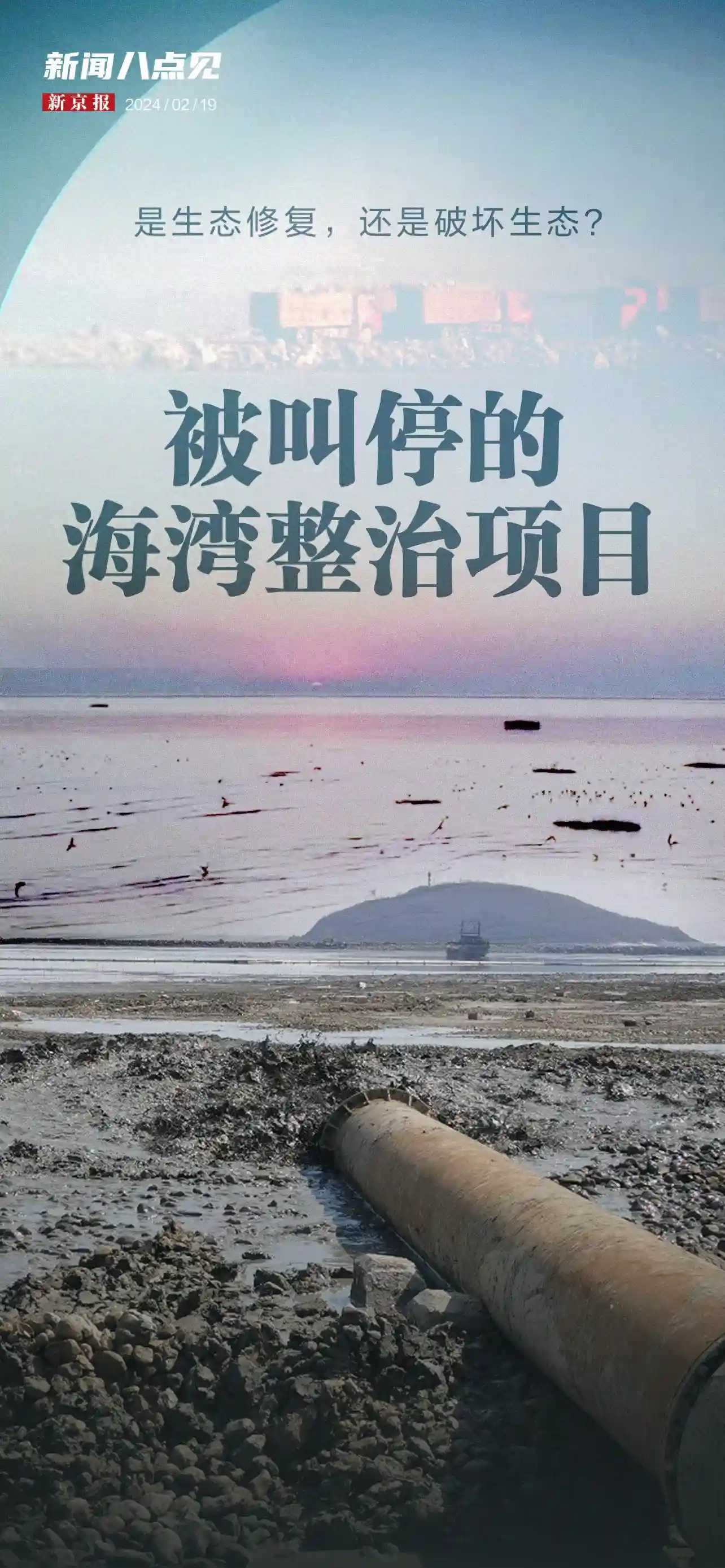 新闻8点见丨被叫停的海湾整治项目；遭遇“黑车”加价如何维权？